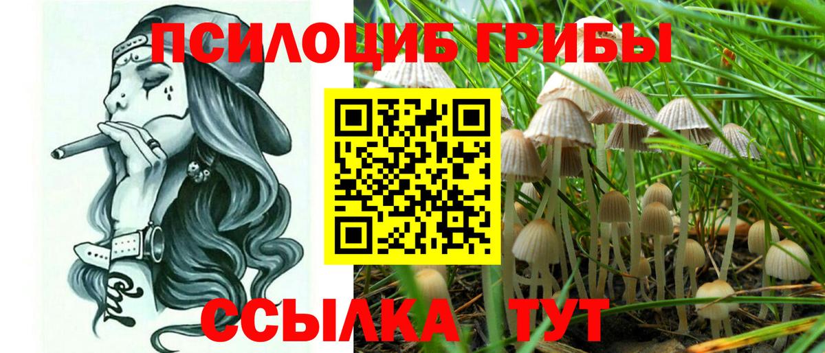 Фрязино  Галлюциногенные грибы прущие грибы  Псилоцибиновые грибы Psilocybine cubensis  Вход с VPN 