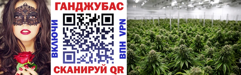 Марихуана конопля  Фрязино 